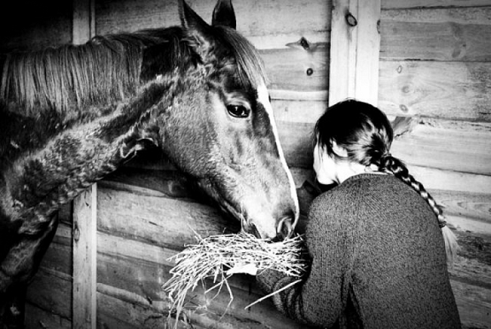  Grafika #2: I MIĘDZYNARODOWY KONKURS FOTOGRAFICZNY "MOJE PASJE" - WYNIKI grafika