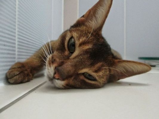  Grafika #7: I MIĘDZYNARODOWY KONKURS FOTOGRAFICZNY "MOJE PASJE" - WYNIKI grafika