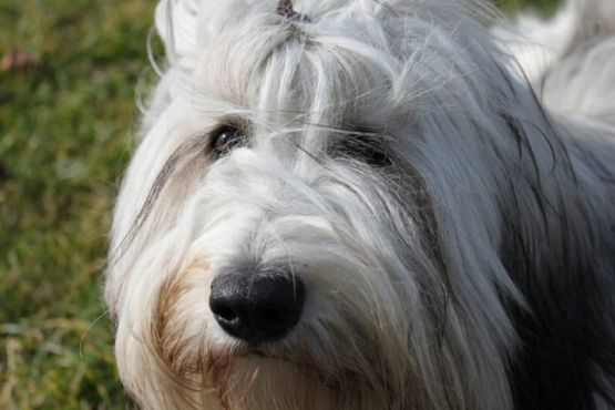  Grafika #8: I MIĘDZYNARODOWY KONKURS FOTOGRAFICZNY "MOJE PASJE" - WYNIKI grafika