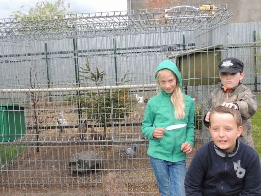  Grafika #3: WIZYTA W SCHRONISKU DLA ZWIERZĄT W MAŁOSZYCACH grafika