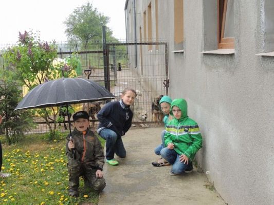  Grafika #4: WIZYTA W SCHRONISKU DLA ZWIERZĄT W MAŁOSZYCACH grafika