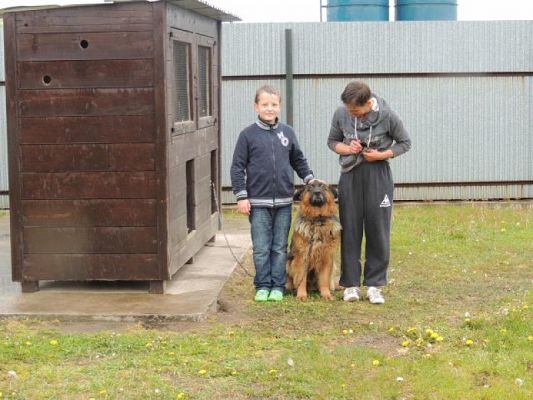  Grafika #5: WIZYTA W SCHRONISKU DLA ZWIERZĄT W MAŁOSZYCACH grafika