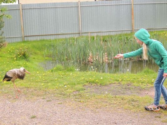  Grafika #6: WIZYTA W SCHRONISKU DLA ZWIERZĄT W MAŁOSZYCACH grafika