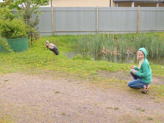  Grafika #7: WIZYTA W SCHRONISKU DLA ZWIERZĄT W MAŁOSZYCACH grafika