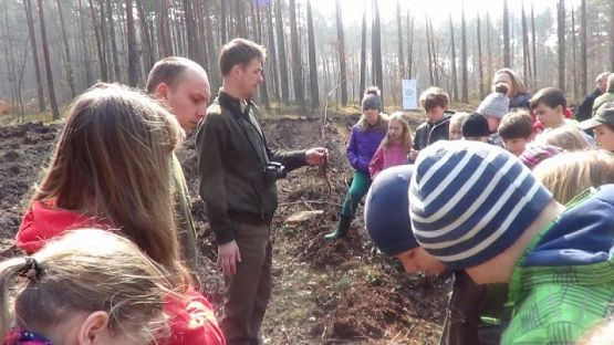  Grafika #0: SADZENIE LASU grafika