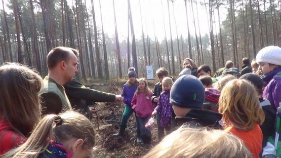  Grafika #1: SADZENIE LASU grafika