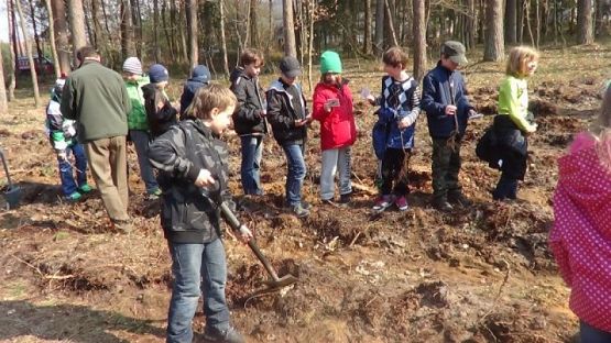  Grafika #2: SADZENIE LASU grafika