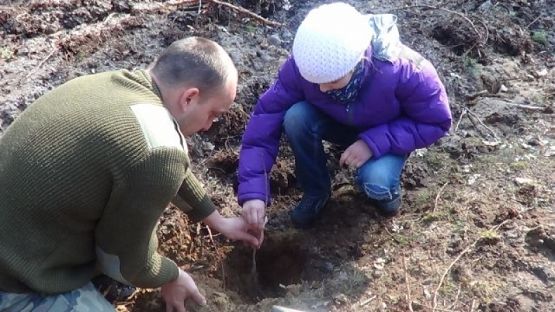  Grafika #3: SADZENIE LASU grafika