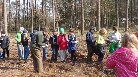  Grafika #5: SADZENIE LASU grafika