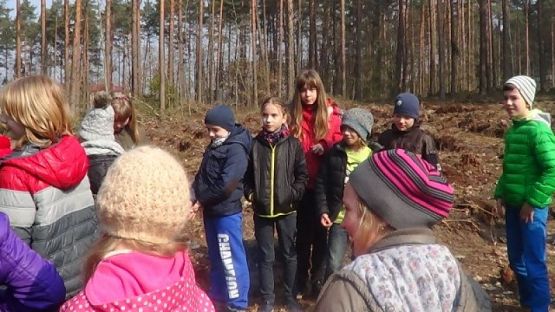  Grafika #6: SADZENIE LASU grafika