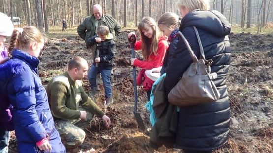  Grafika #7: SADZENIE LASU grafika