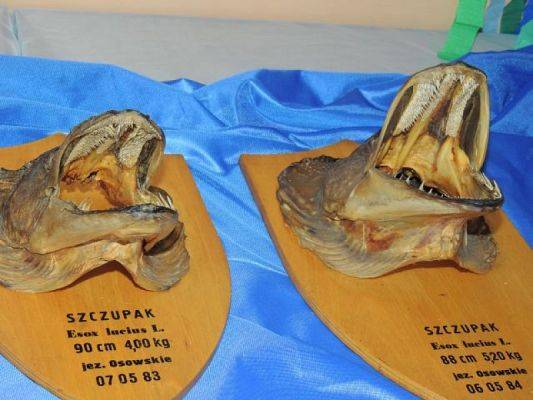  Grafika #1: BAŁTYK - WIELKI BŁĘKIT grafika