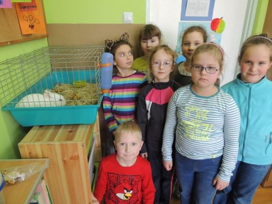  Grafika #1: KLASOWY ZWIERZYNIEC grafika