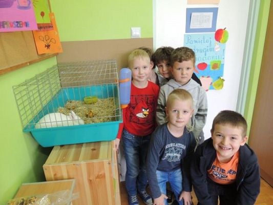  Grafika #2: KLASOWY ZWIERZYNIEC grafika