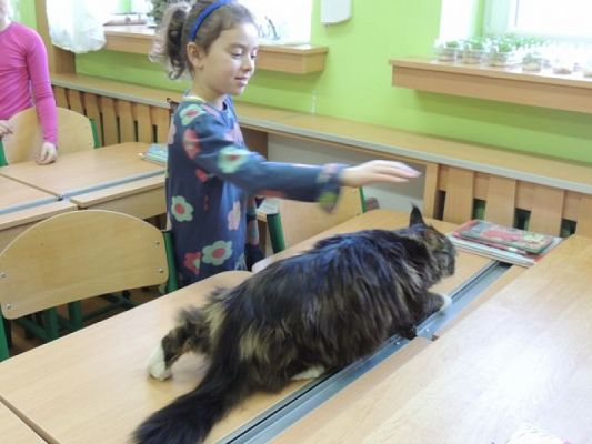  Grafika #3: KLASOWY ZWIERZYNIEC grafika