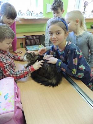  Grafika #5: KLASOWY ZWIERZYNIEC grafika