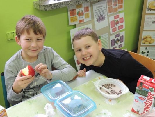  Grafika #1: 8 LISTOPADA – EUROPEAN DAY OF HEALTHY FOOD AND COOKING grafika