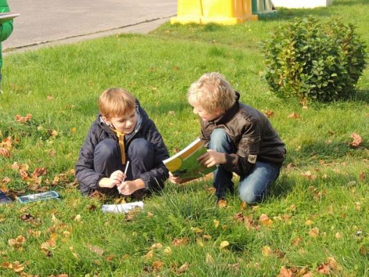  Grafika #0: POZNAJEMY OSOBLIWOŚCI LĘBORKA grafika