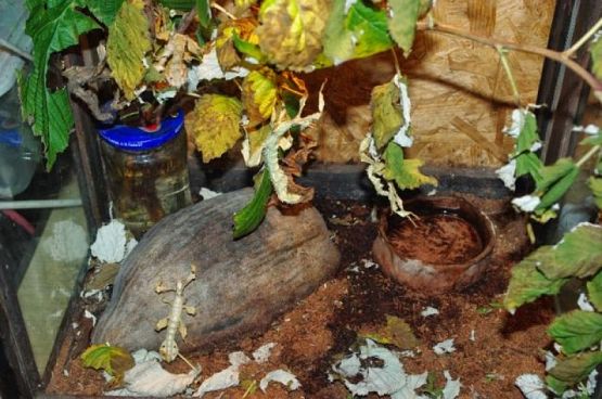  Grafika #8: ŻYWA LEKCJA PRZYRODY grafika