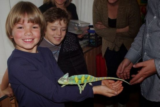  Grafika #9: ŻYWA LEKCJA PRZYRODY grafika