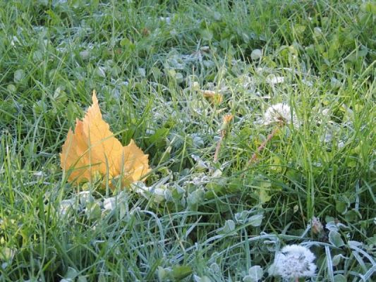  Grafika #1: W POSZUKIWANIU UROKÓW JESIENI grafika