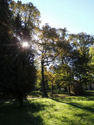  Grafika #3: W POSZUKIWANIU UROKÓW JESIENI grafika