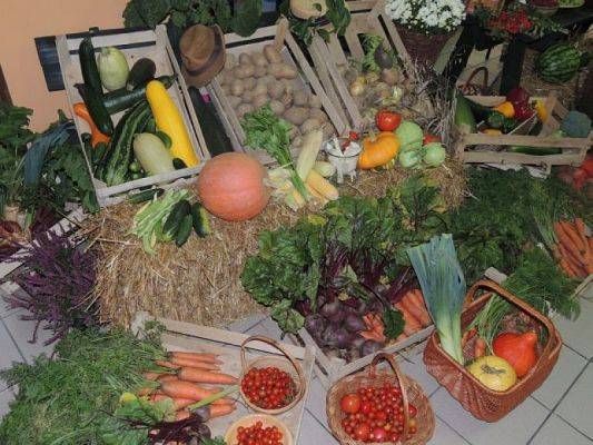  Grafika #2: DOŻYNKI SZKOLNE grafika