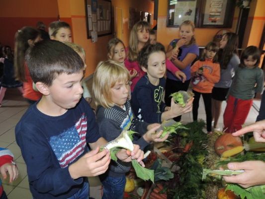  Grafika #4: DOŻYNKI SZKOLNE grafika