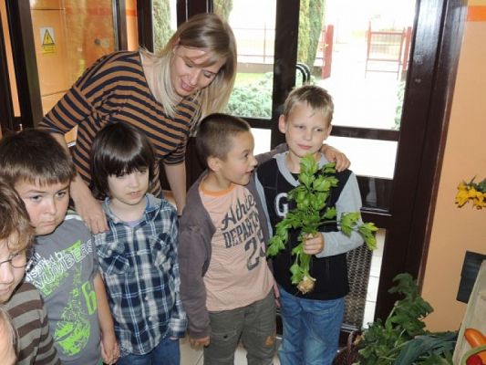  Grafika #7: DOŻYNKI SZKOLNE grafika