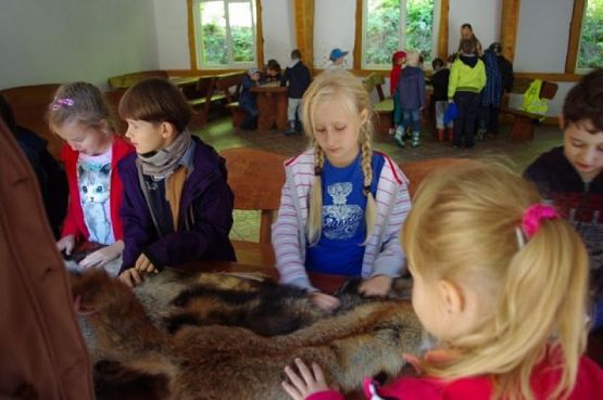  Grafika #6: WYCIECZKA DO CENTRUM EDUKACJI PRZYRODNICZO - LEŚNEJ W DRĘTOWIE grafika