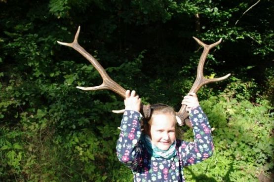  Grafika #8: WYCIECZKA DO CENTRUM EDUKACJI PRZYRODNICZO - LEŚNEJ W DRĘTOWIE grafika