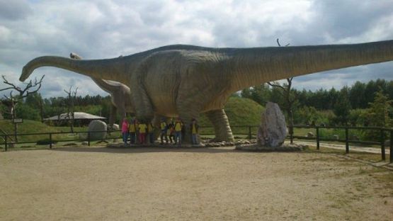 Grafika #6: Wycieczka do Nowęcina grafika