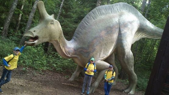 Grafika #11: Wycieczka do Nowęcina grafika