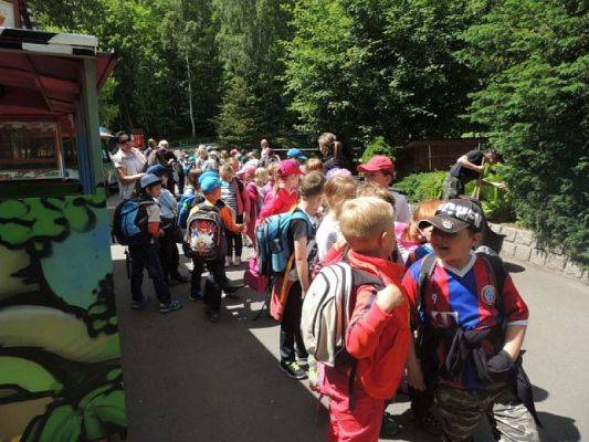  Grafika #0: Wycieczka do ZOO w Gdańsku Oliwie grafika