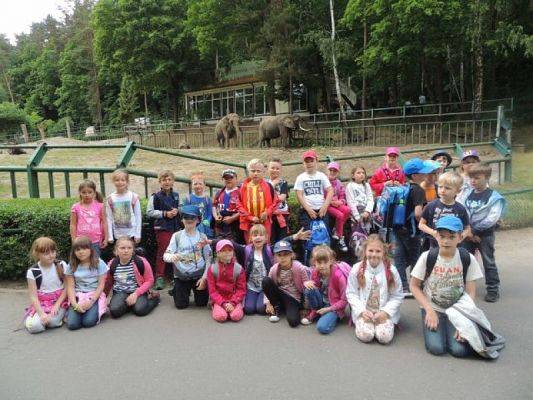  Grafika #1: Wycieczka do ZOO w Gdańsku Oliwie grafika