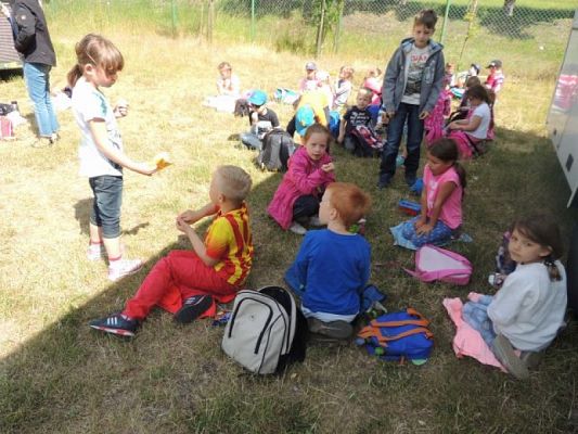  Grafika #3: Wycieczka do ZOO w Gdańsku Oliwie grafika