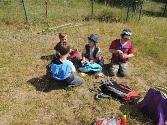  Grafika #4: Wycieczka do ZOO w Gdańsku Oliwie grafika