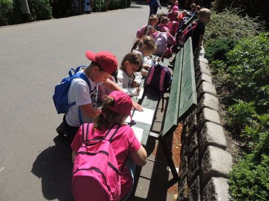  Grafika #8: Wycieczka do ZOO w Gdańsku Oliwie grafika