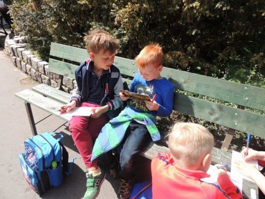  Grafika #7: Wycieczka do ZOO w Gdańsku Oliwie grafika