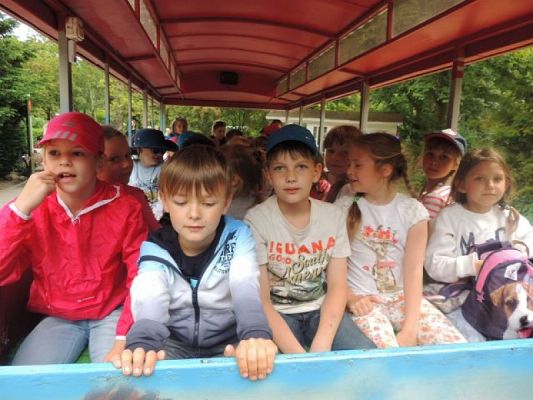  Grafika #10: Wycieczka do ZOO w Gdańsku Oliwie grafika