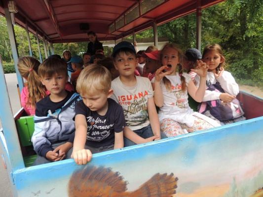  Grafika #11: Wycieczka do ZOO w Gdańsku Oliwie grafika