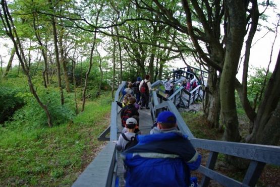 Grafika #1: Poddąbie – biwak klas trzecich grafika