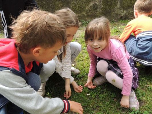  Grafika #2: Wiosna w pełni grafika