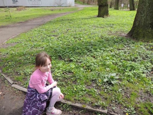  Grafika #0: Wiosna w pełni grafika