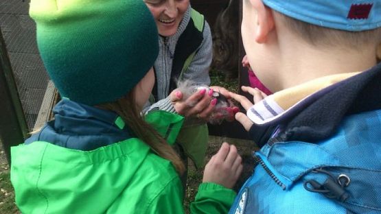  Grafika #2: Wizyta w schronisku dla zwierząt grafika