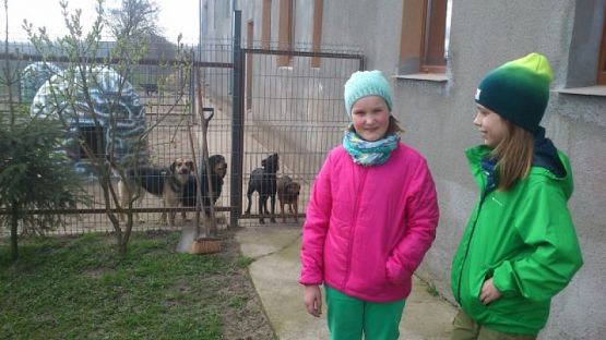  Grafika #3: Wizyta w schronisku dla zwierząt grafika