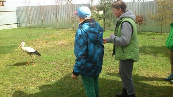  Grafika #5: Wizyta w schronisku dla zwierząt grafika