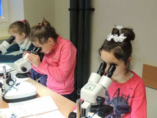  Grafika #1: Drugoklasiści w Gdyńskim Oceanarium grafika