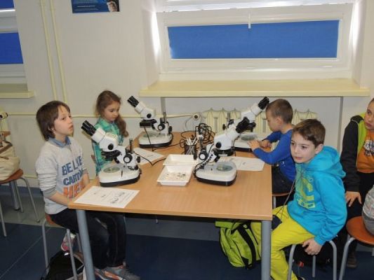  Grafika #4: Drugoklasiści w Gdyńskim Oceanarium grafika