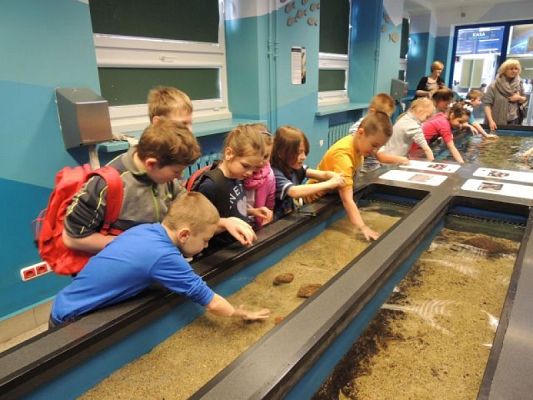  Grafika #5: Drugoklasiści w Gdyńskim Oceanarium grafika